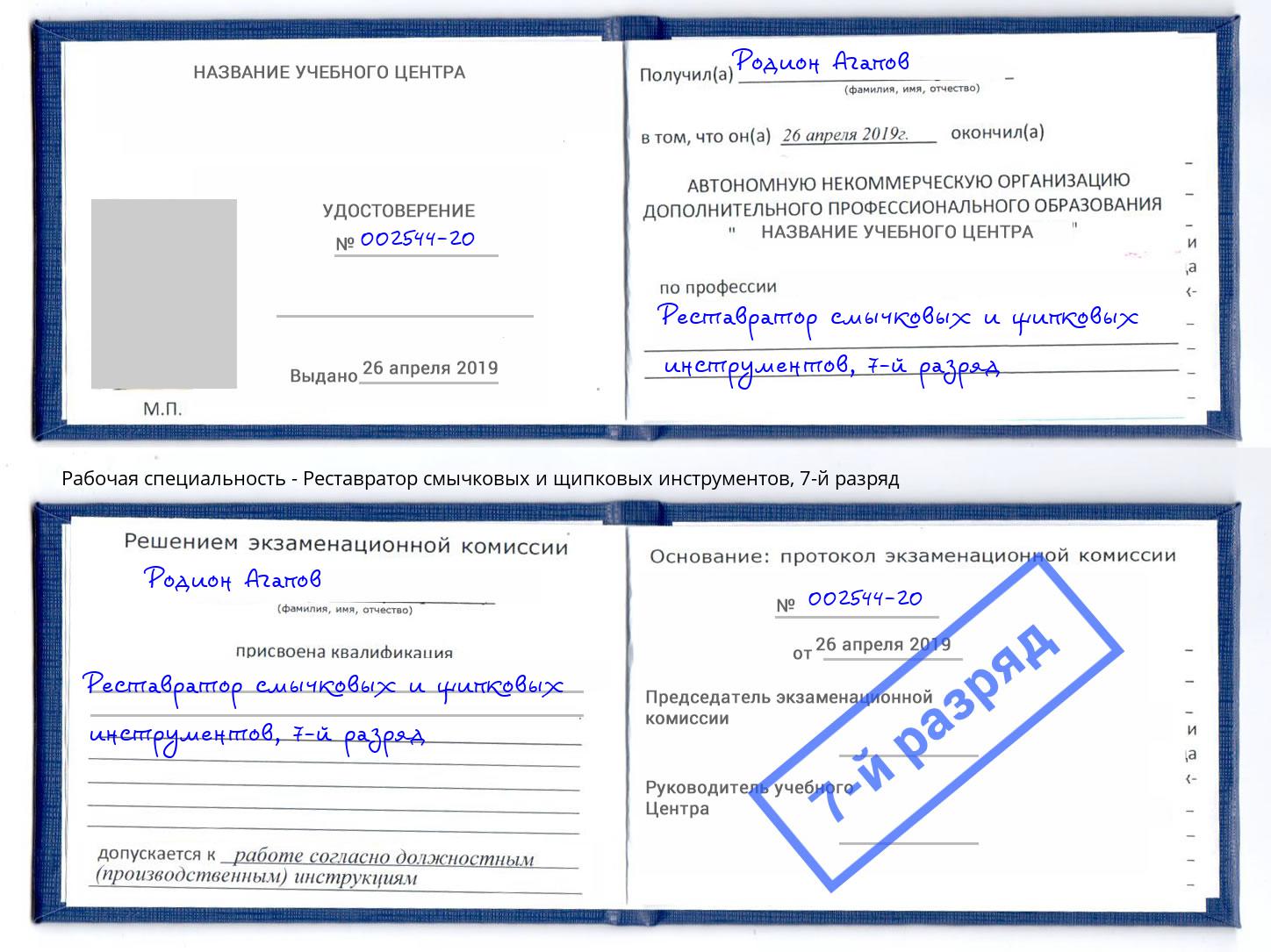 корочка 7-й разряд Реставратор смычковых и щипковых инструментов Невинномысск